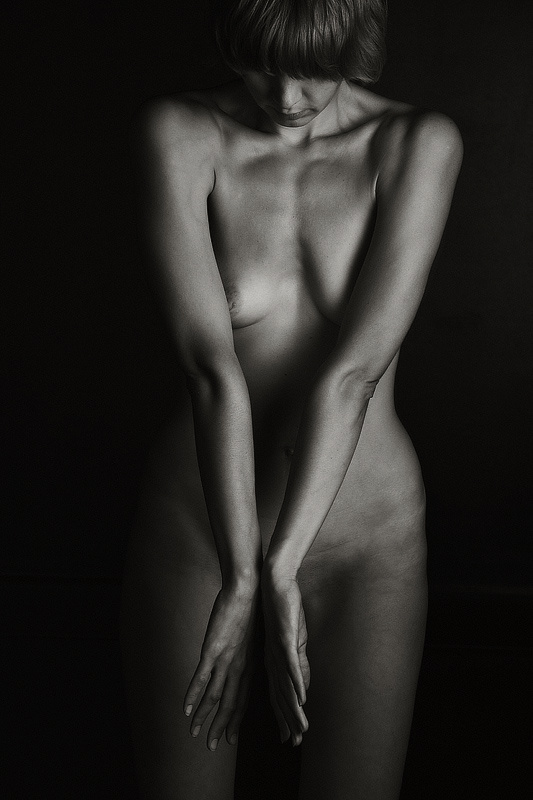 Torso 