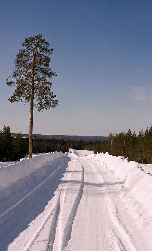 Дорога 2 Дорога, снег