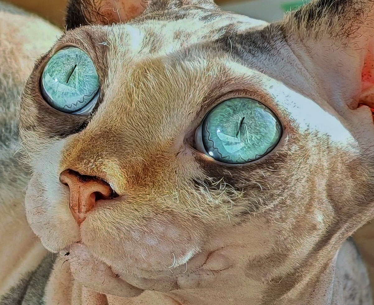 E. T. 