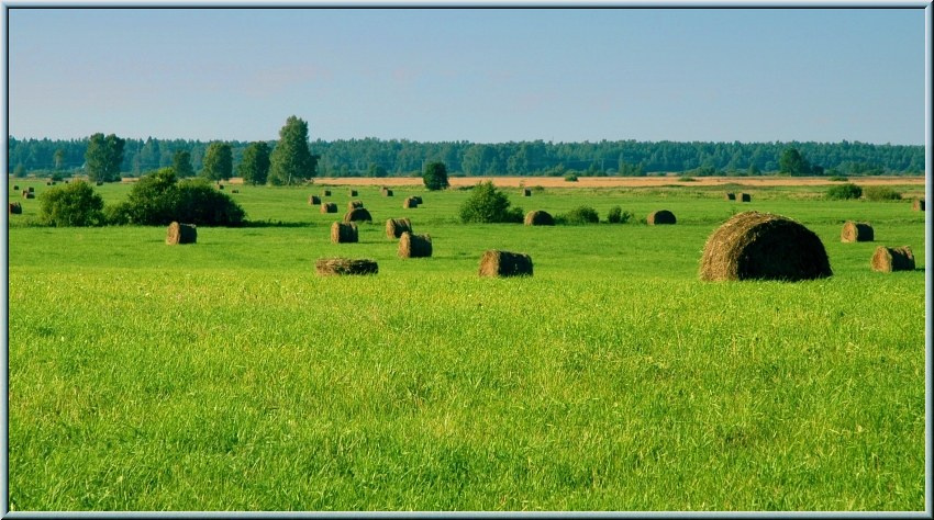Пора сенокоса стог, сено, поле
