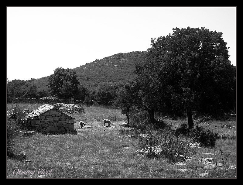 Black and white 