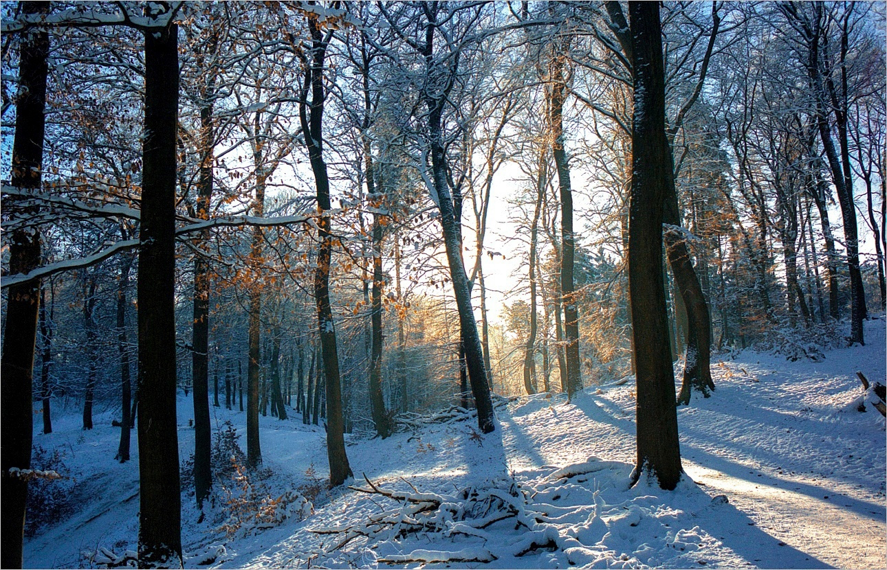 Гамбург-Харбург, Январь • 2003 