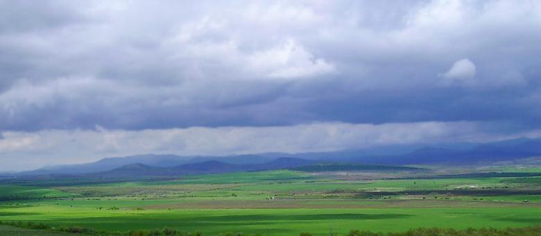 Green... поле