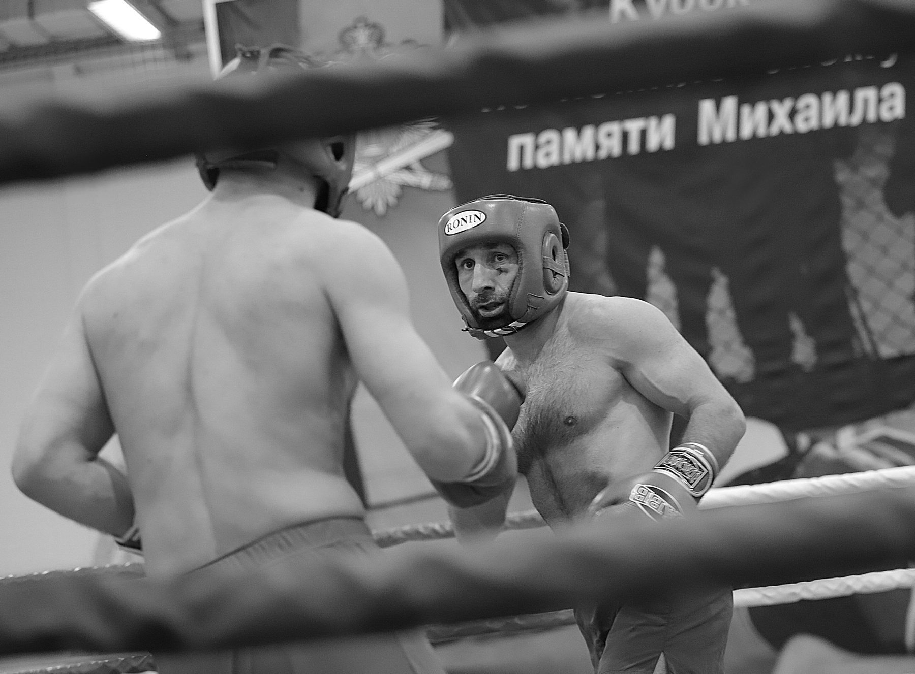 Рамин гасанов Гасанов рамин гасанов спорт мма бокс самбо спортсмен