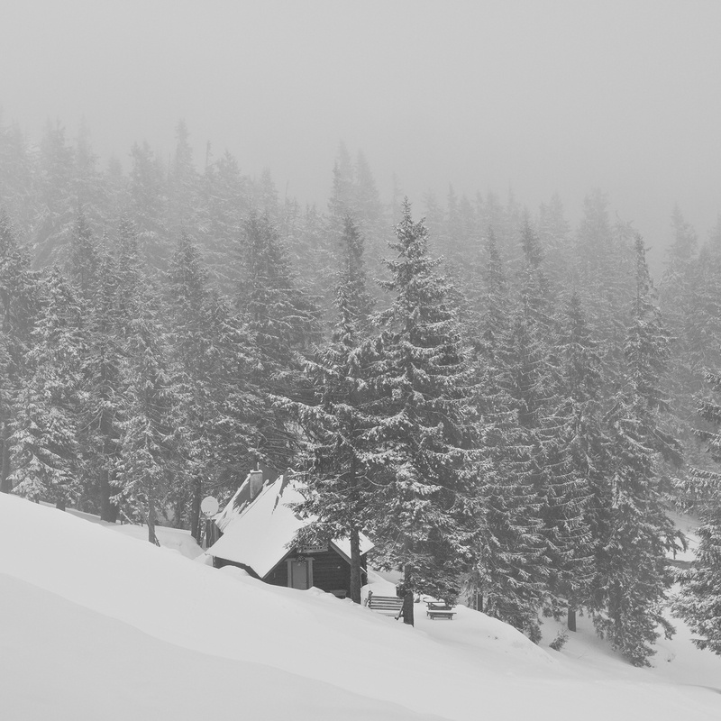 A quiet refuge зима снег лес природа дом иней туман квадрат