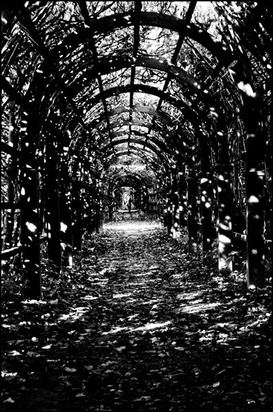 РОССИЯ. Московская область. Архангельское. 2008 Николай Сахаров