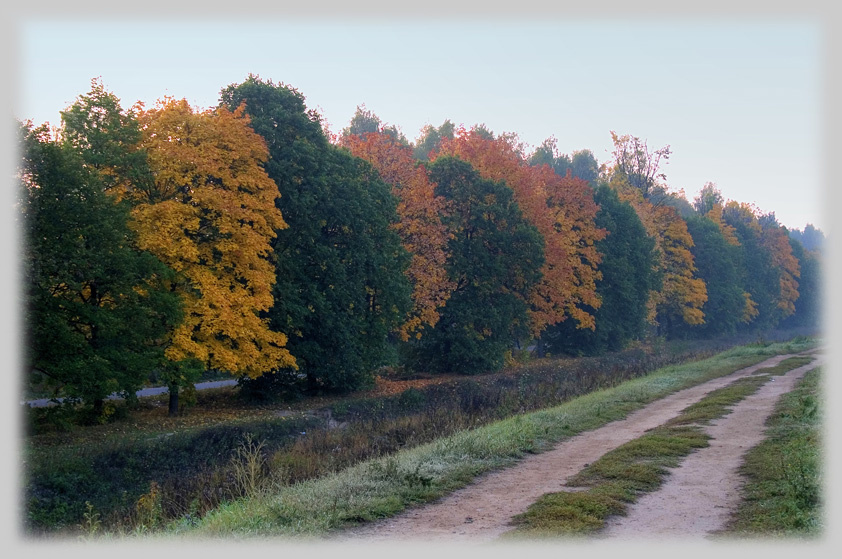 Дорога в осень 