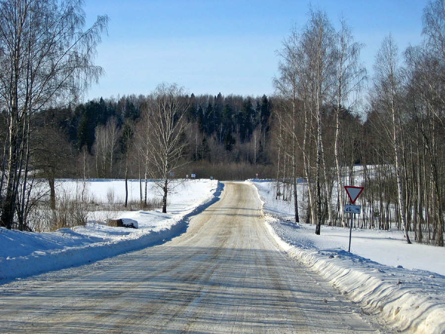 кому? дорога зима лес