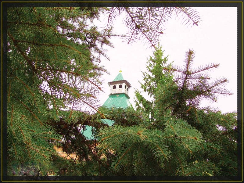 Кремль Кремль ель