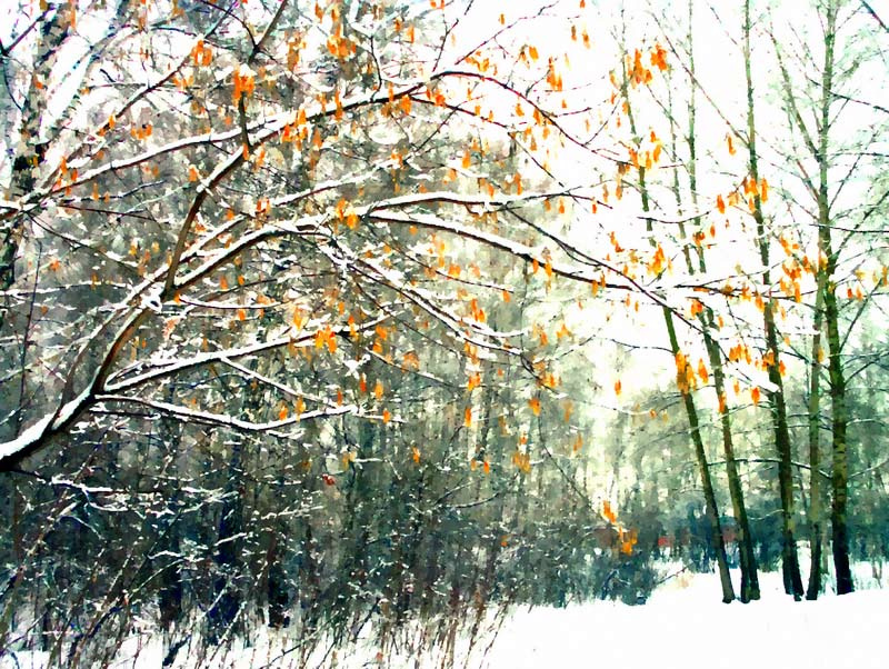 ... Пейзаж,масло,осень