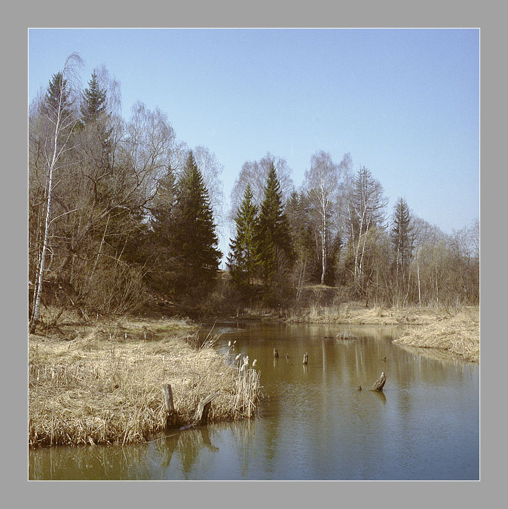 Весенние зарисовки 2007 