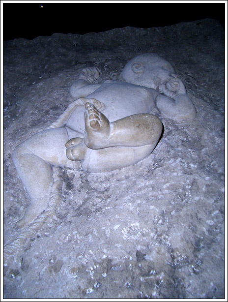 жизнь 