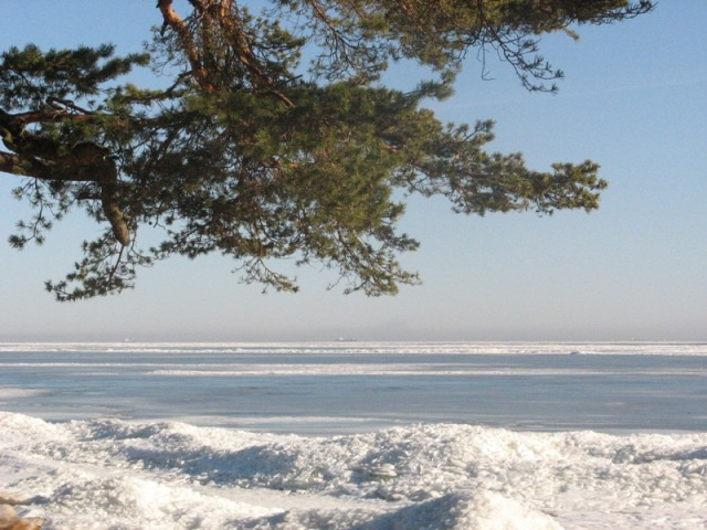 Карельская весна лед сосны море
