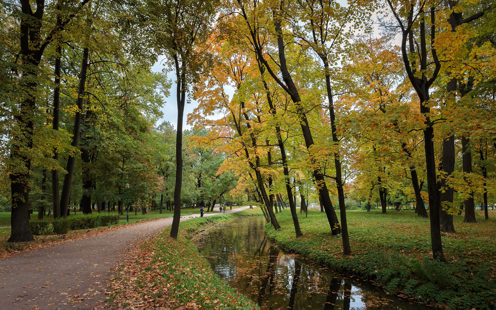 В осеннем парке... парк осень