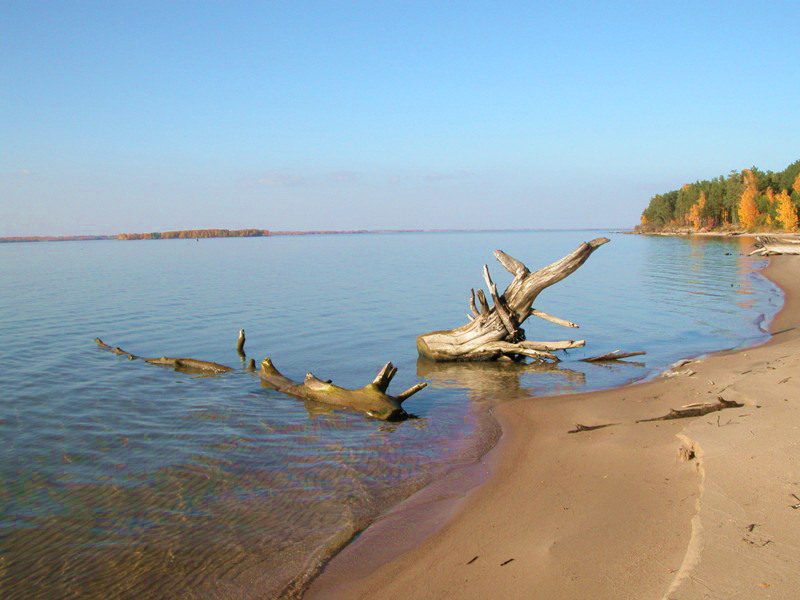 *** осень природа