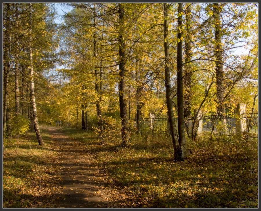 Осень. Парк. Дорожка. парк дорожка осень сентябрь листья