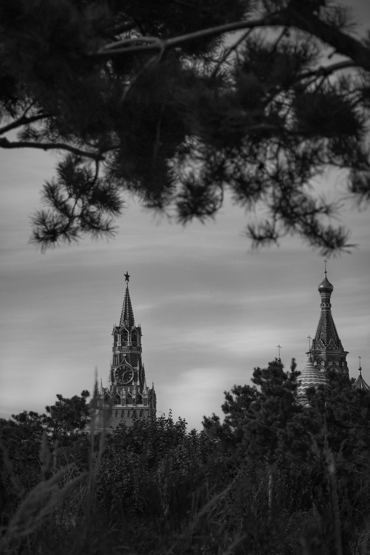 Где-то в глухих лесах Московии. 