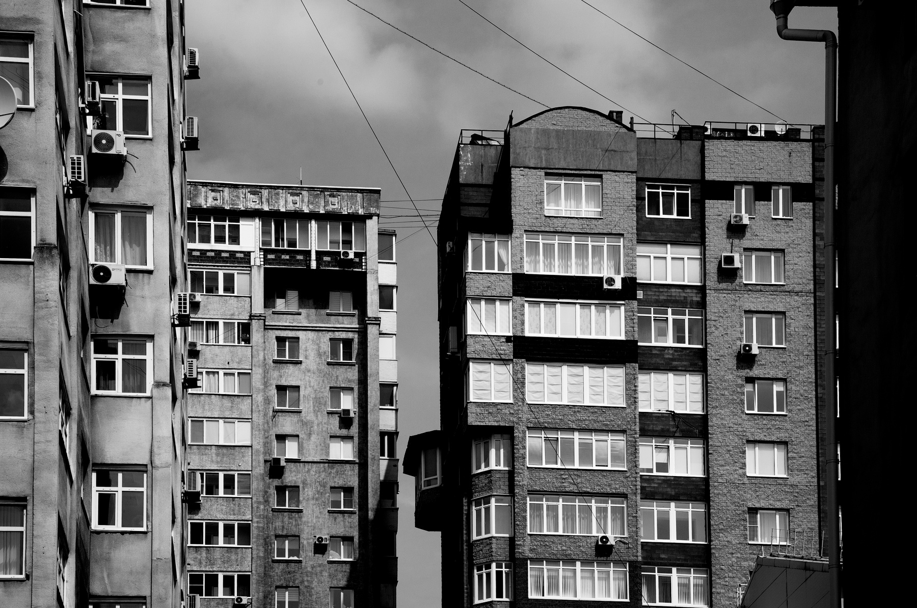 Гнездо 