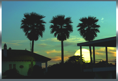 Sunset in the Sitches Закат 1