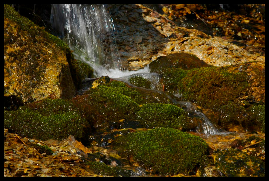 Свежее утро весеннего дня waterfall, water, stone, вода, водопад, камень, moss, мох