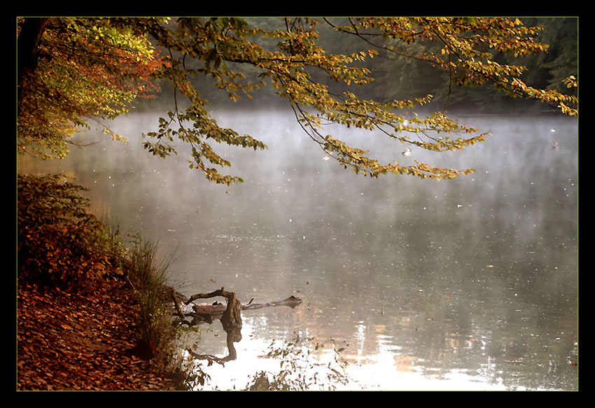 maksimir-jutro 
