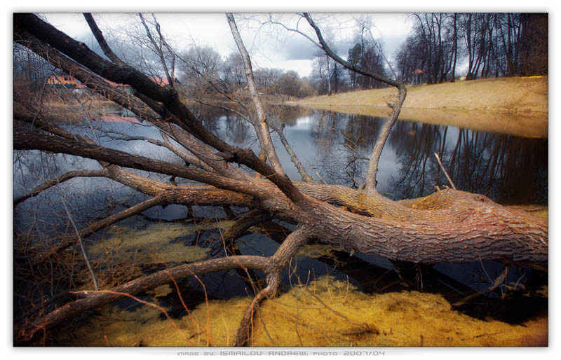 Борьба за жизнь Russia Nature Nikon D80 Россия Природа aklerk