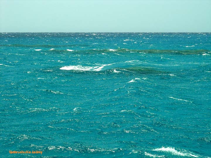 Вот такое оно... Красное море! Красное море, Египет, коралл