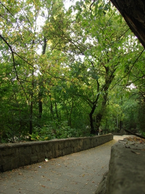 Старый парк, новая осень парк, осень, дорожка