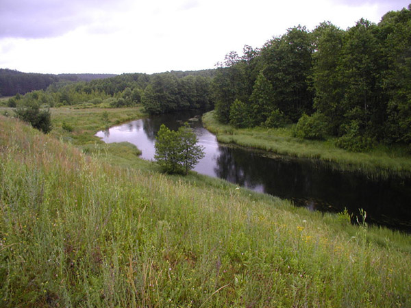Красная Горбатка 