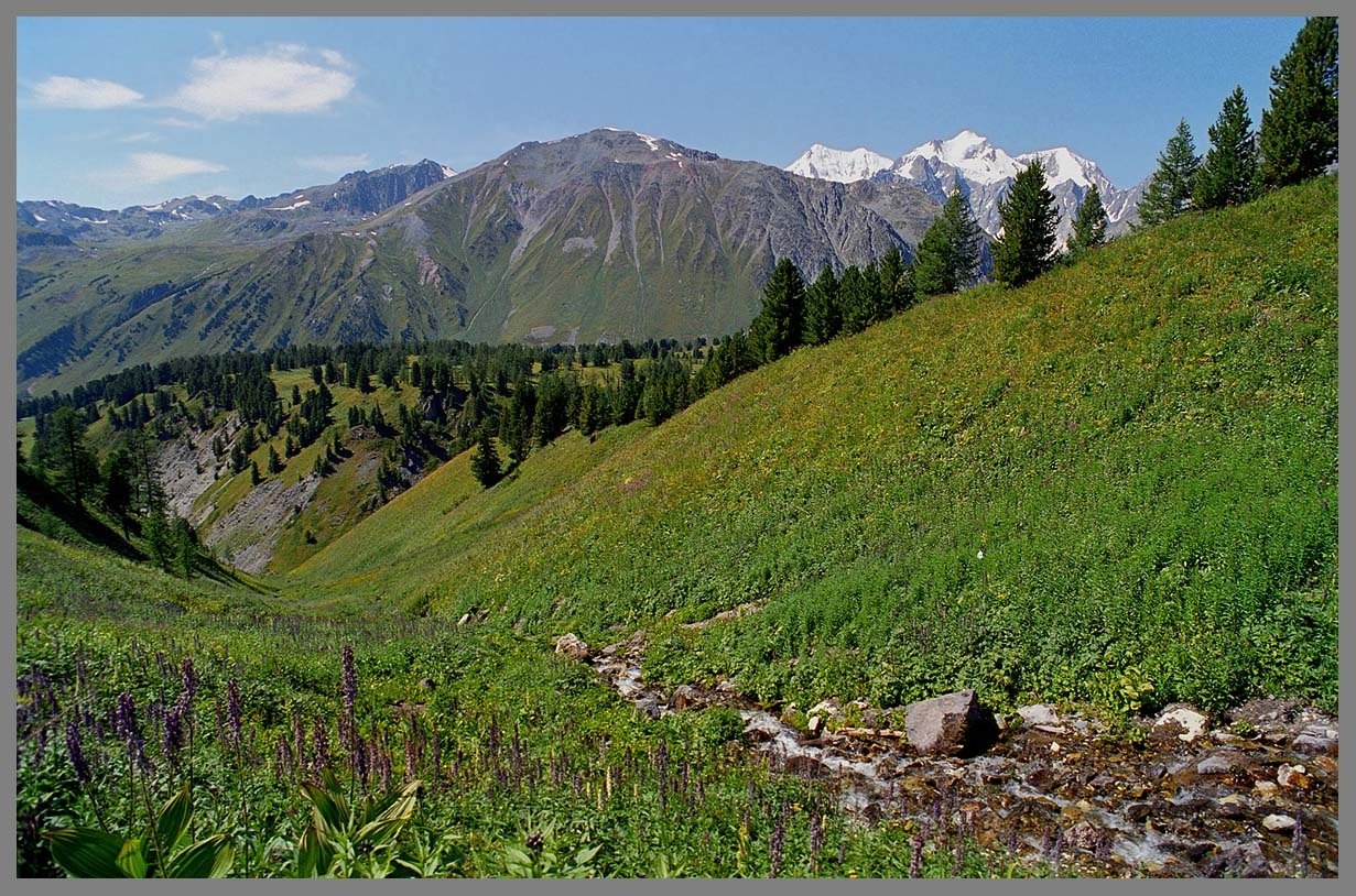 Ручей в горах Алтай, Катунский хр. г.Белуха