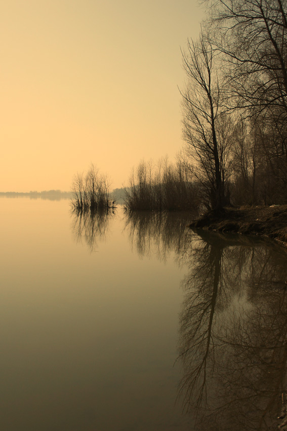 симметрия река, вода, отражение, деревья