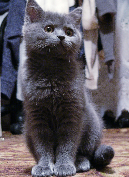 когда он был маленький... 