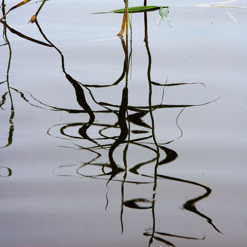 Liquid calligraphy 