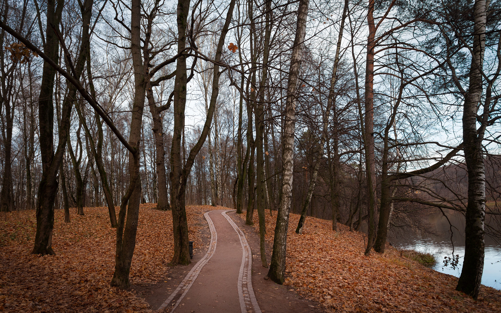 В осеннем парке... парк осень