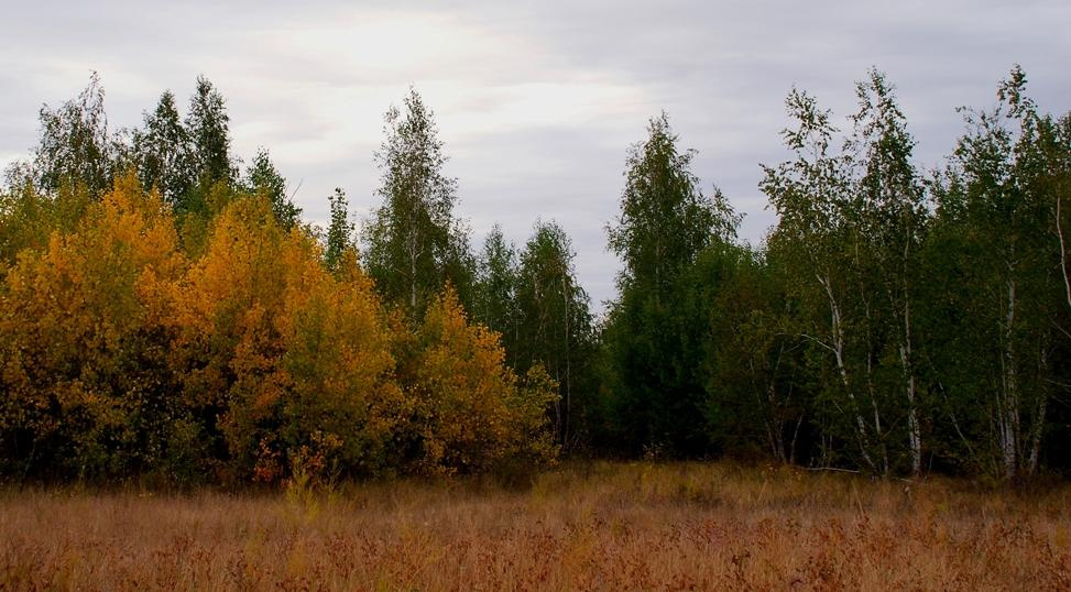 осень 