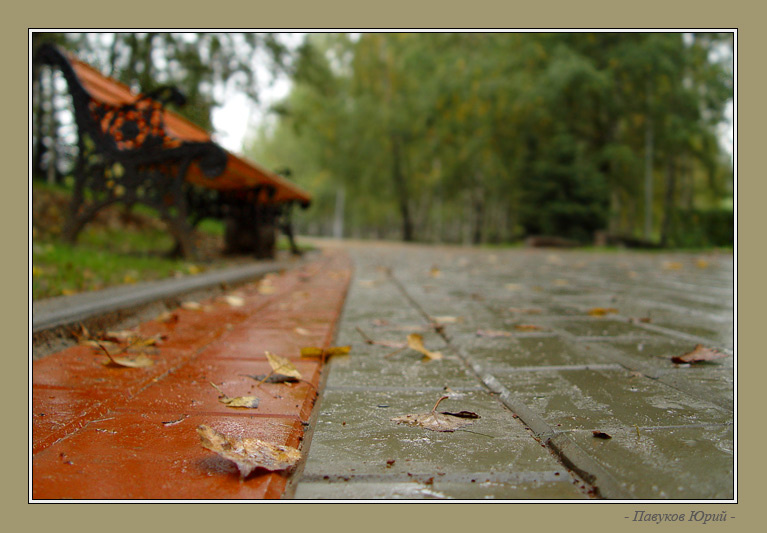 Краски осени - краски города осень городской парк дождь макро