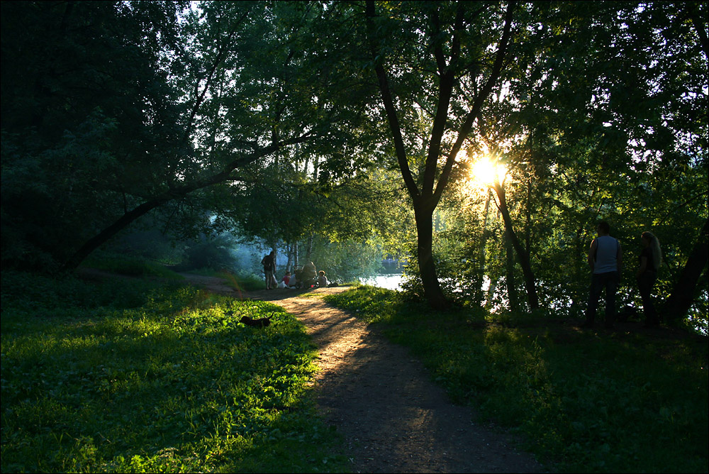 Пикник пикник, солнце, лес