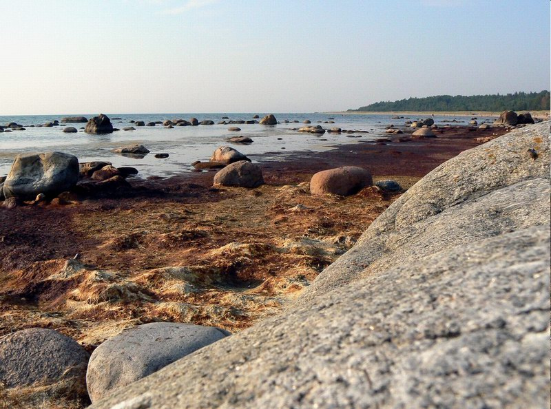 Остров Сааремаа Saaremaa, море, камни, пляж