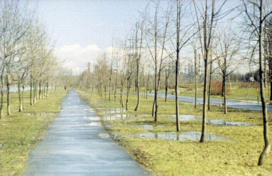 Беззащитность 