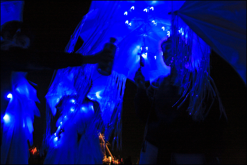Absolut playa Burning Man