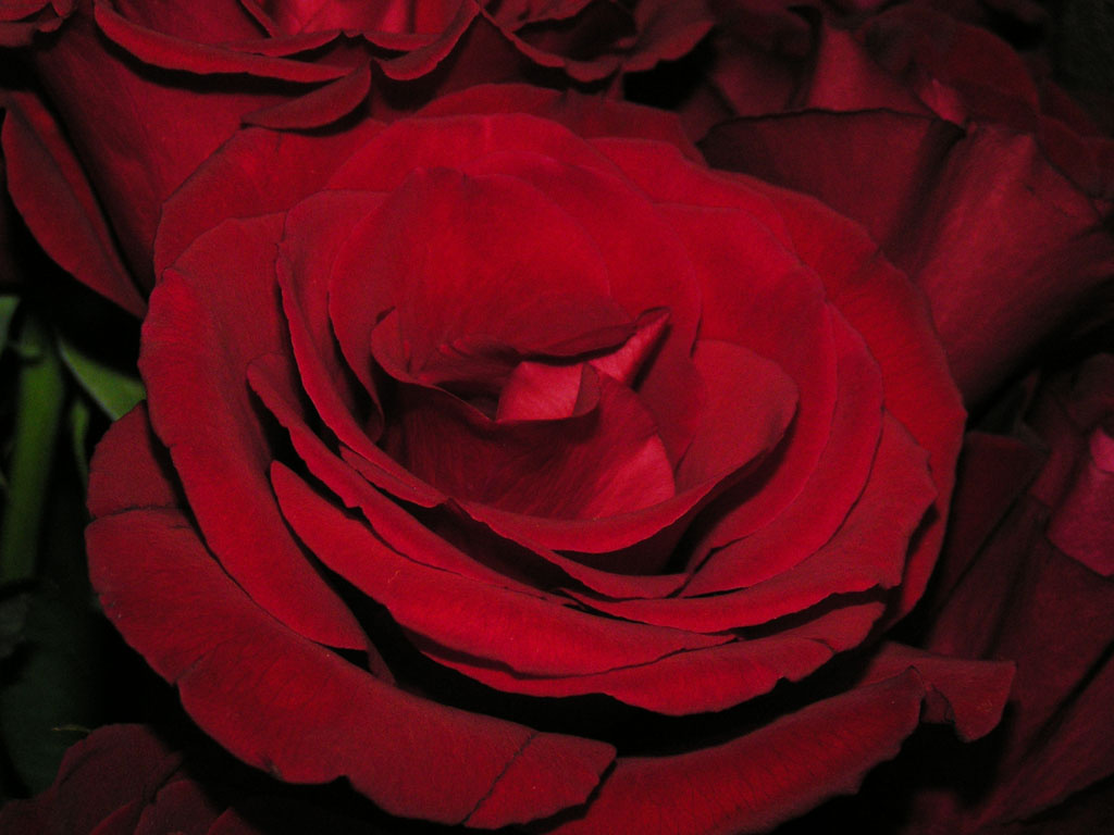 DEEP RED 