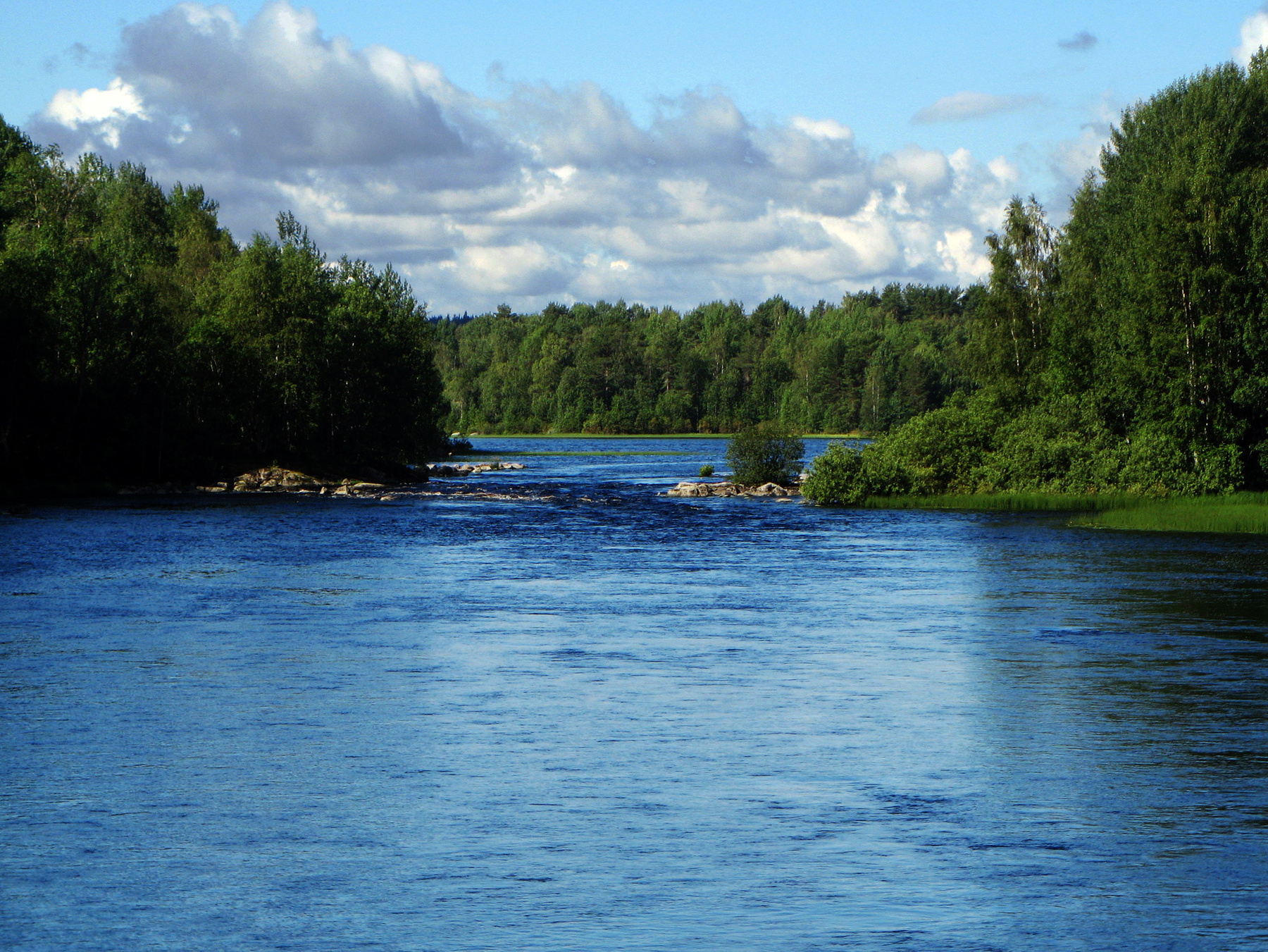 Река Суоеки Лето, река, лес