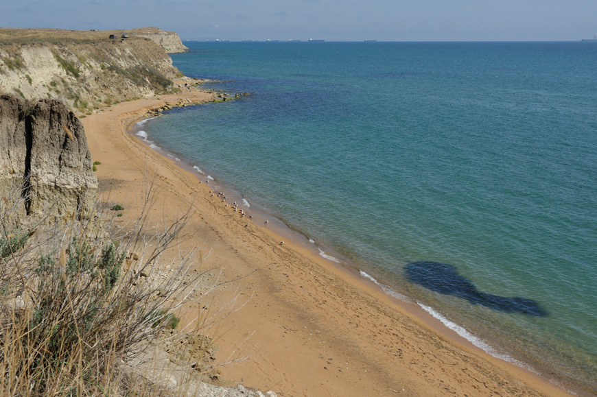 Стая крым керчь стая рыб море