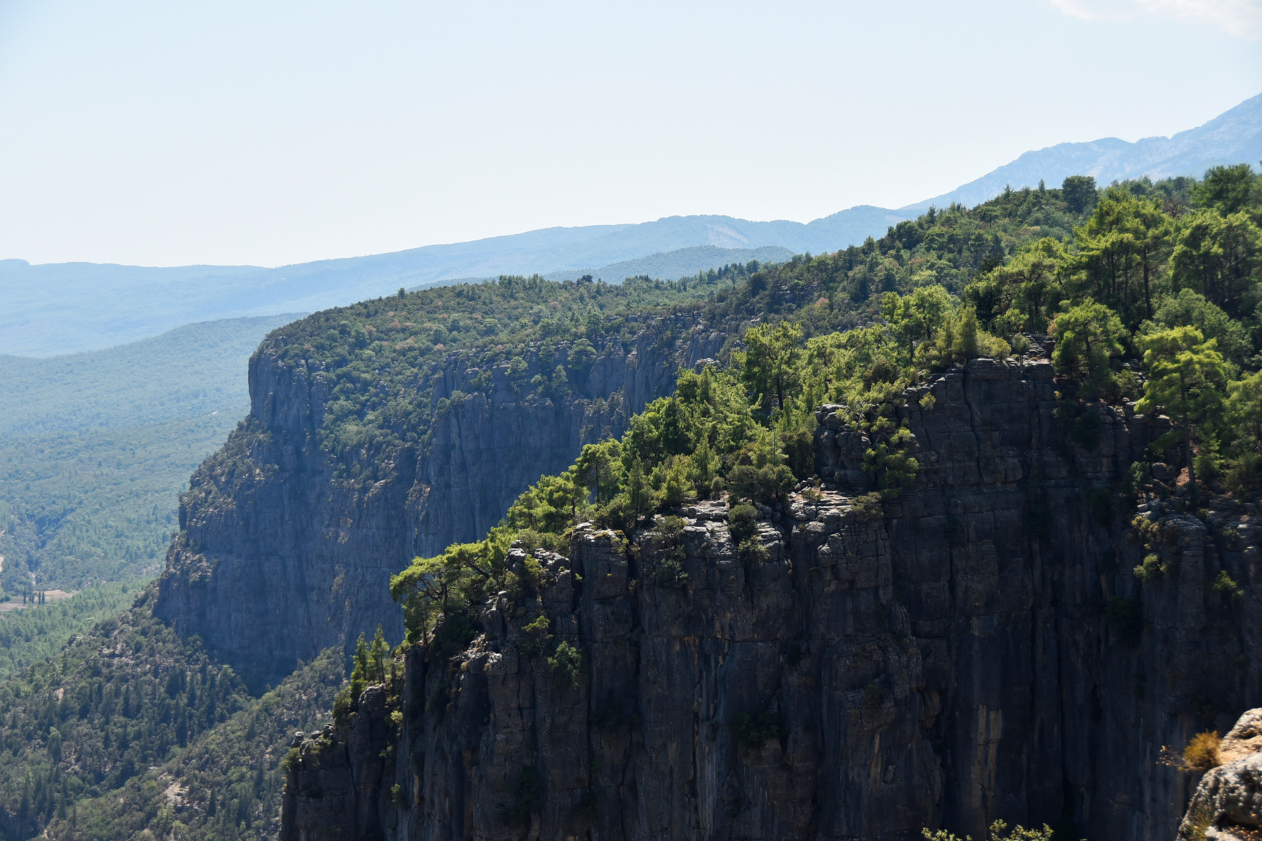 tazi canyon 