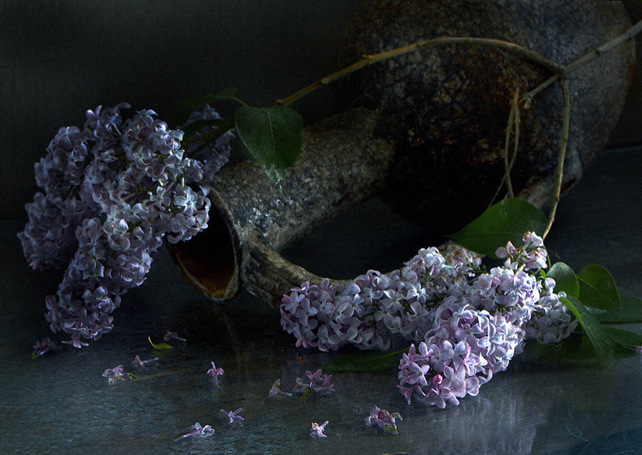 *** 