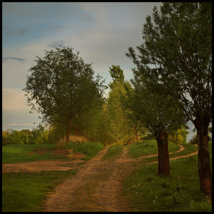 Into the Twilight 
