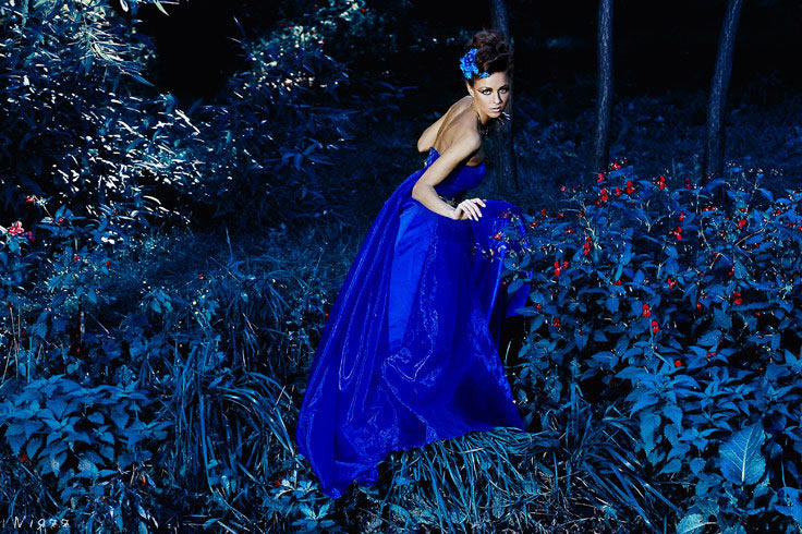 Blue fairy tale 