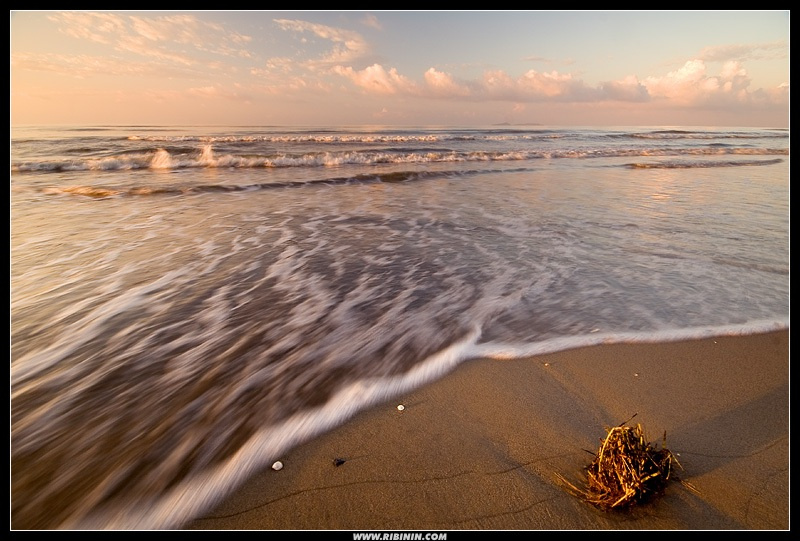 Знаки на песке. Чужеродность la-ceiba honduras