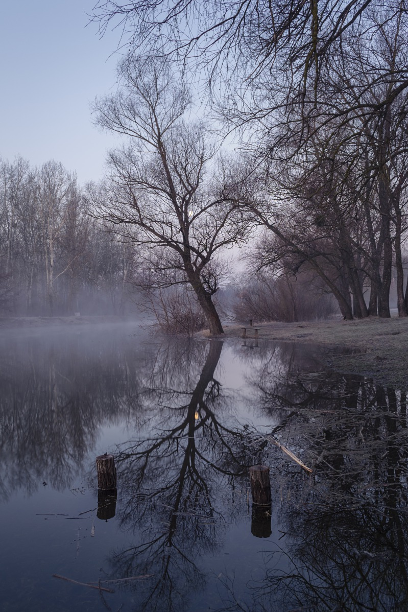 Отражение.Река Псел река псел украина гадяч сергей корнев туман рассвет тепло рекой дерево свет солнце колоритный красивый