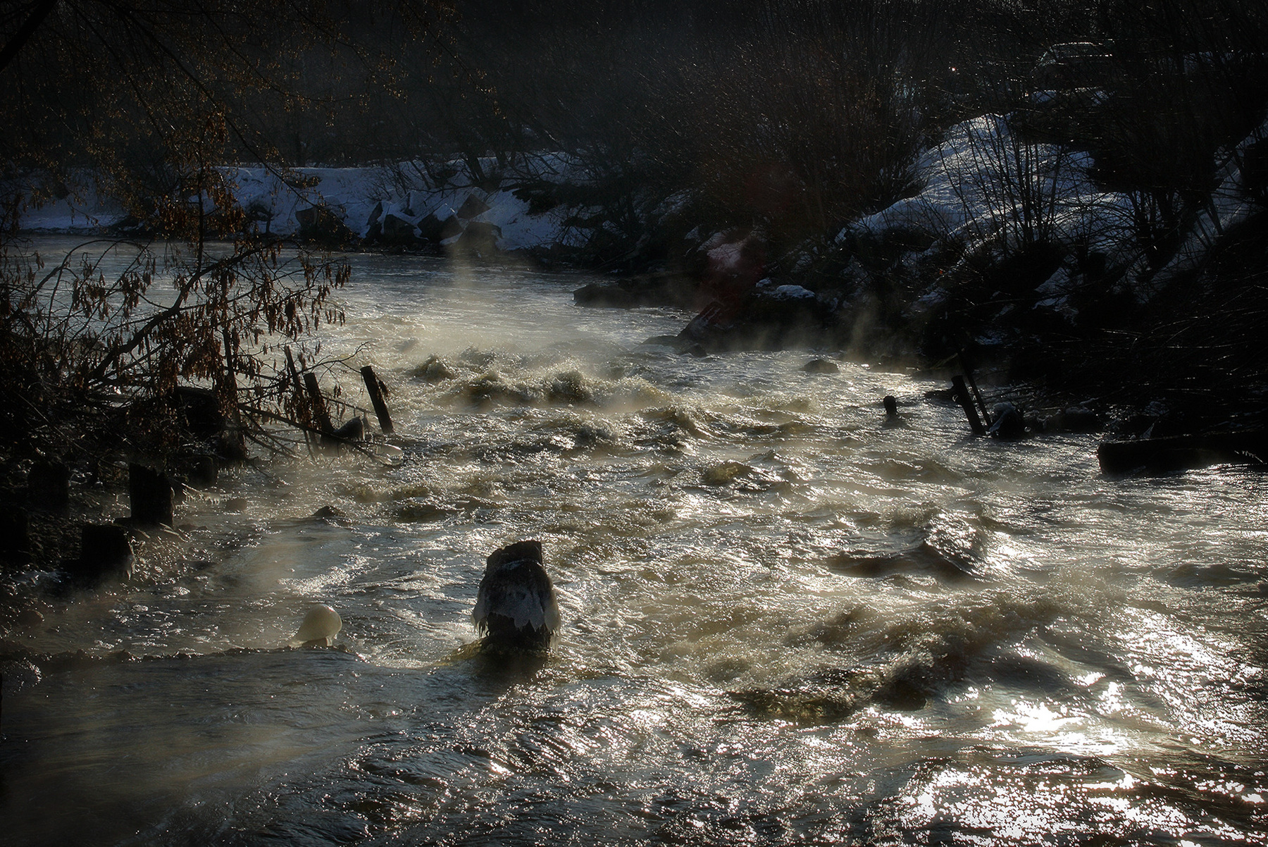Бурлящие воды февраля.... 